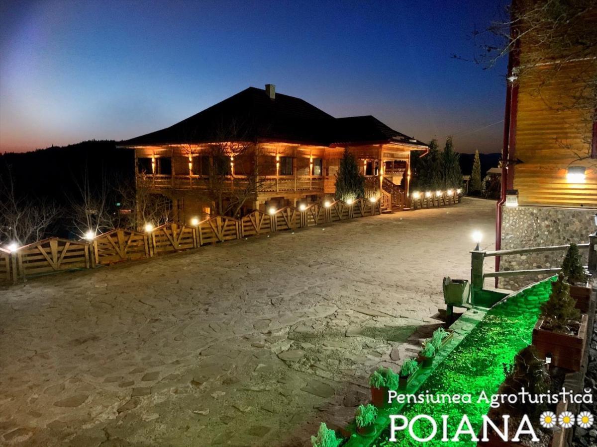 Pensiunea Agroturistica Poiana Пояна Негри Экстерьер фото