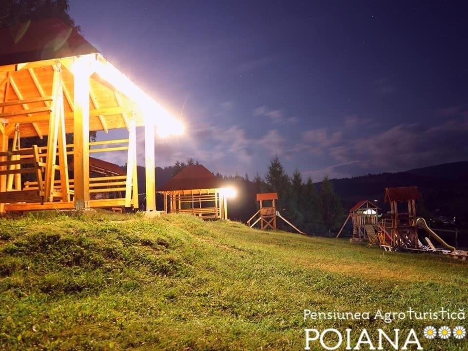 Pensiunea Agroturistica Poiana Пояна Негри Экстерьер фото