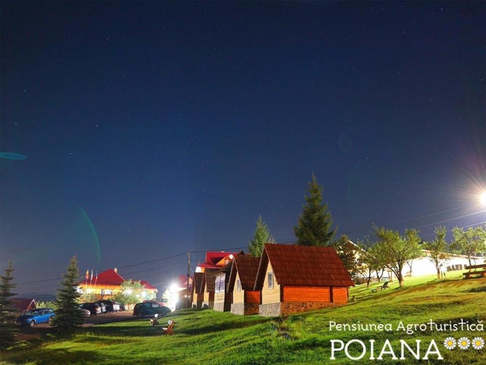 Pensiunea Agroturistica Poiana Пояна Негри Экстерьер фото