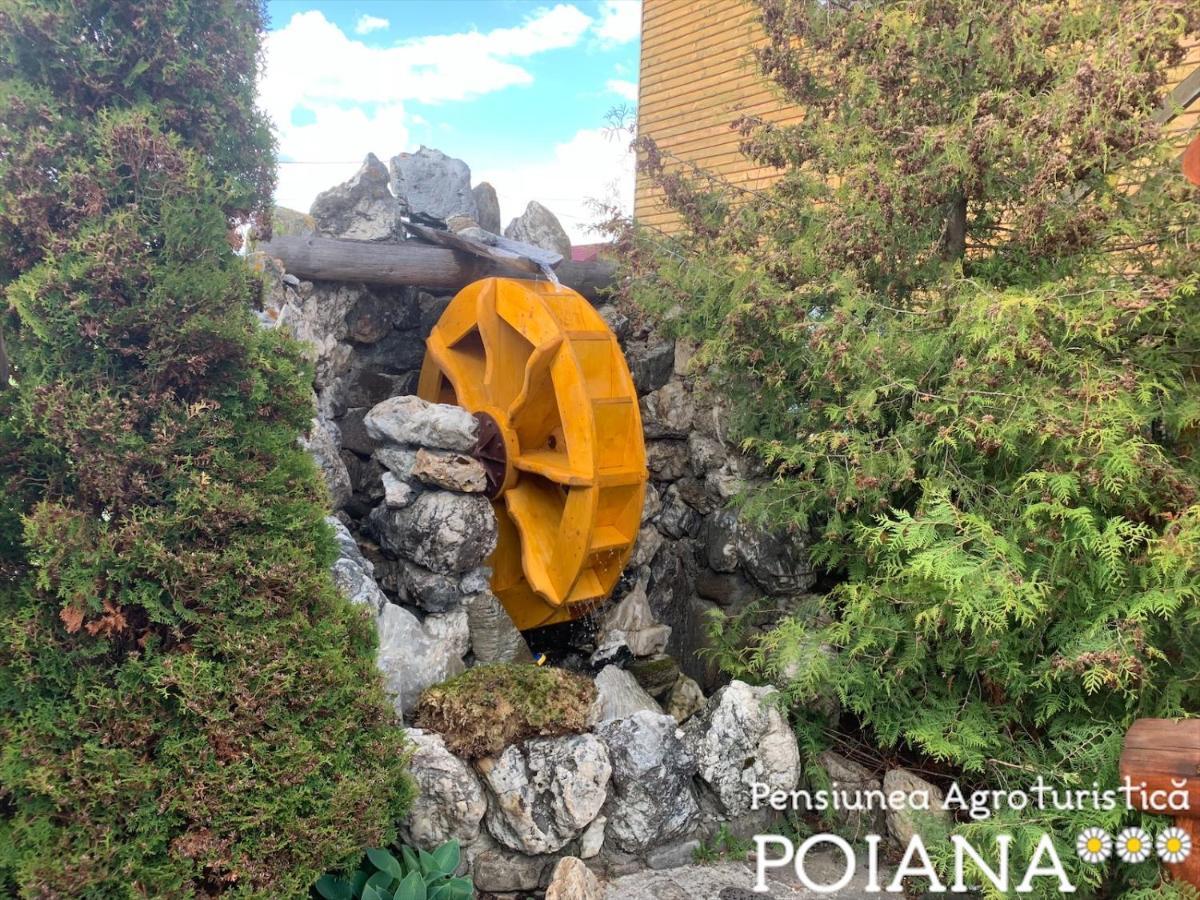 Pensiunea Agroturistica Poiana Пояна Негри Экстерьер фото