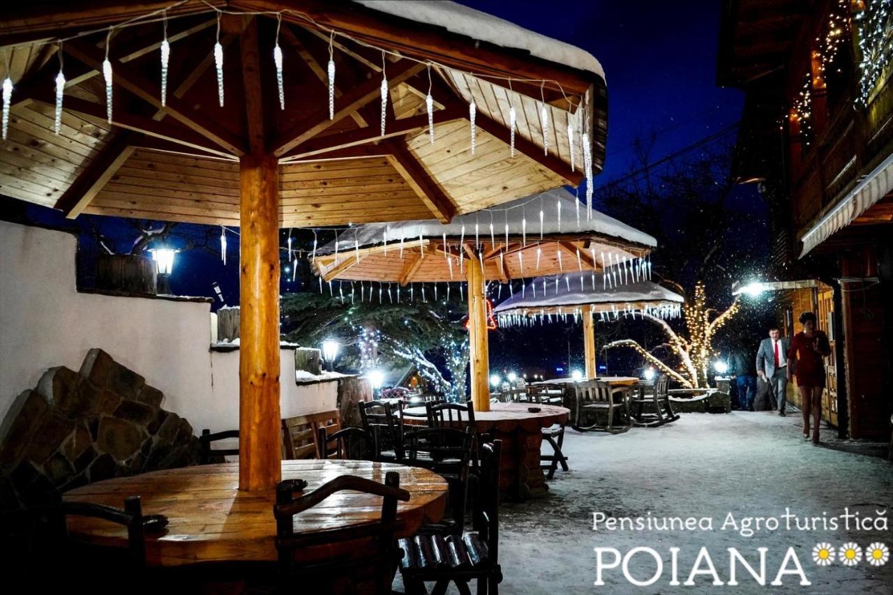 Pensiunea Agroturistica Poiana Пояна Негри Экстерьер фото