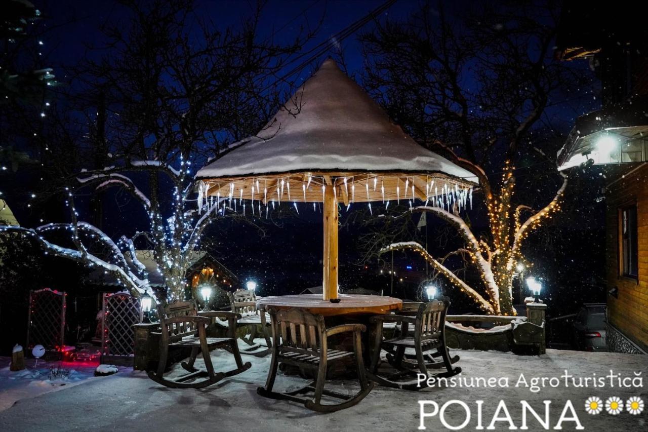 Pensiunea Agroturistica Poiana Пояна Негри Экстерьер фото