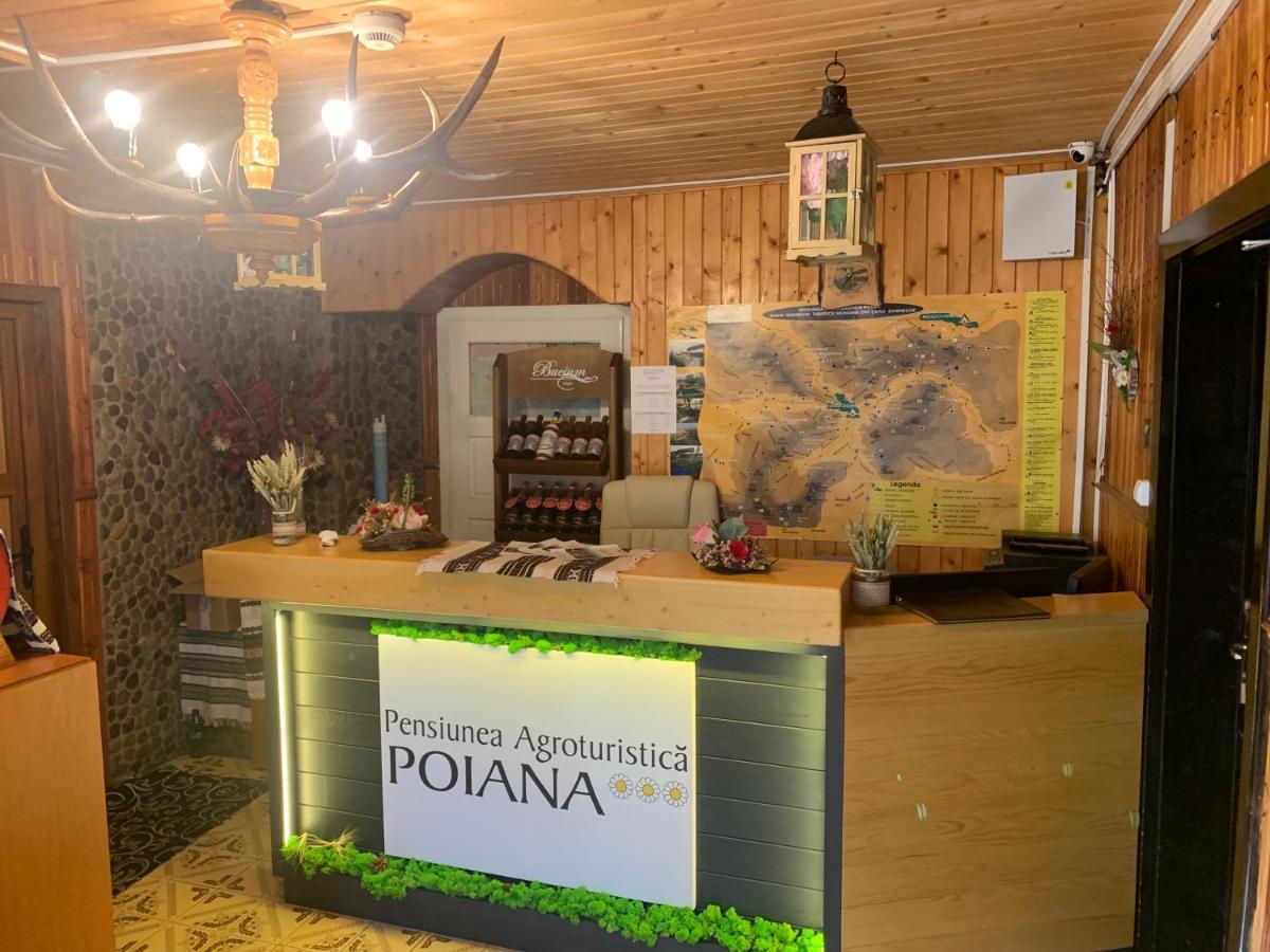 Pensiunea Agroturistica Poiana Пояна Негри Экстерьер фото