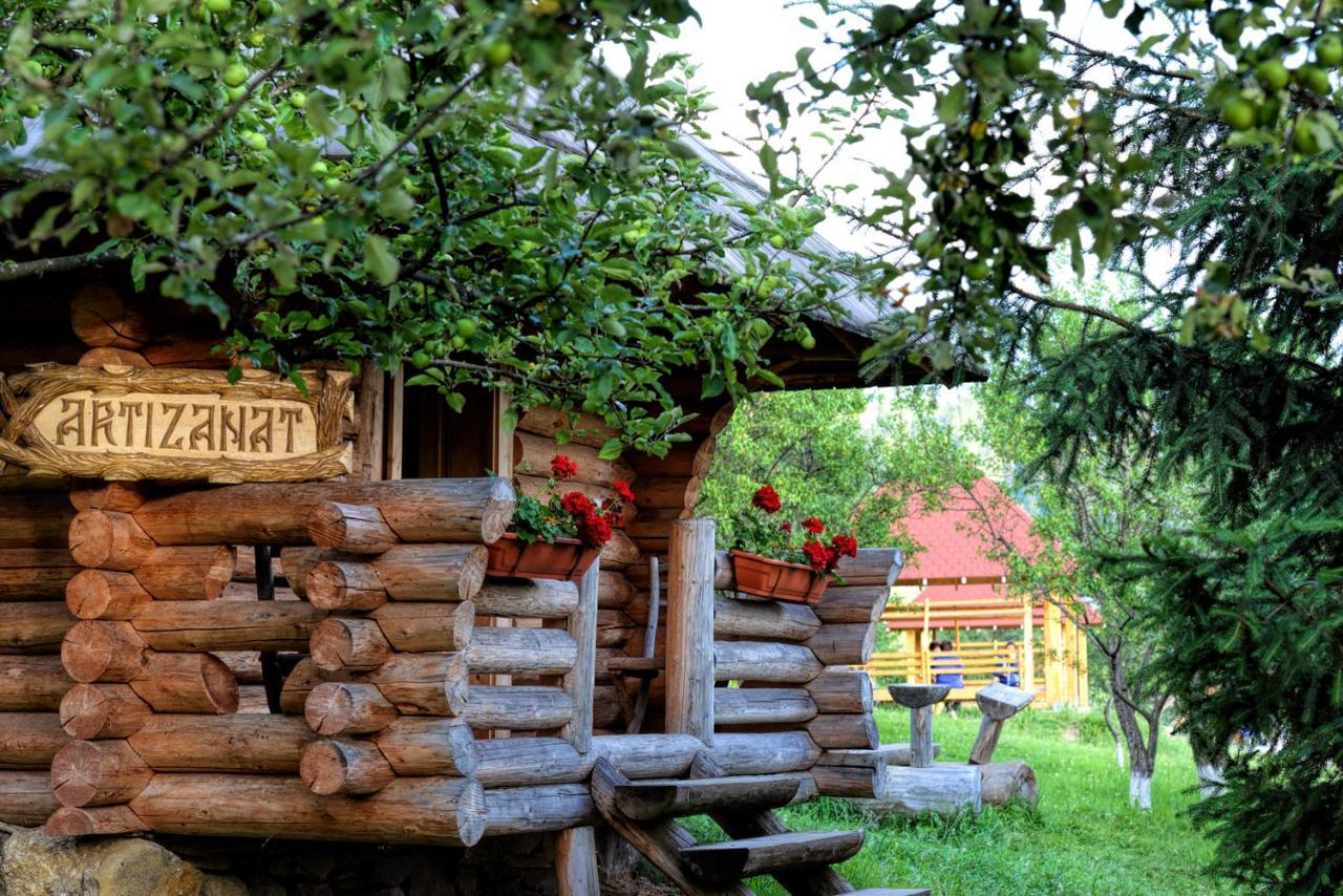 Pensiunea Agroturistica Poiana Пояна Негри Экстерьер фото