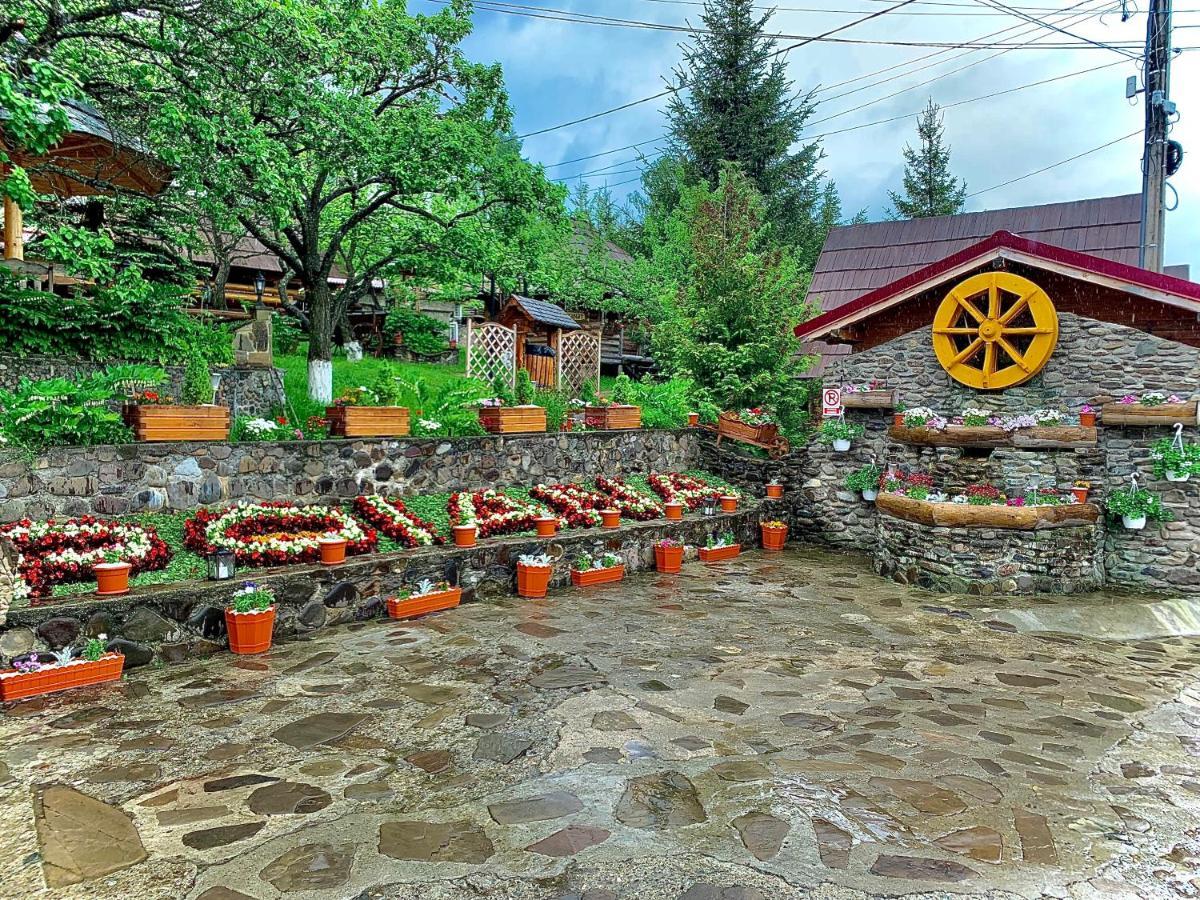 Pensiunea Agroturistica Poiana Пояна Негри Экстерьер фото