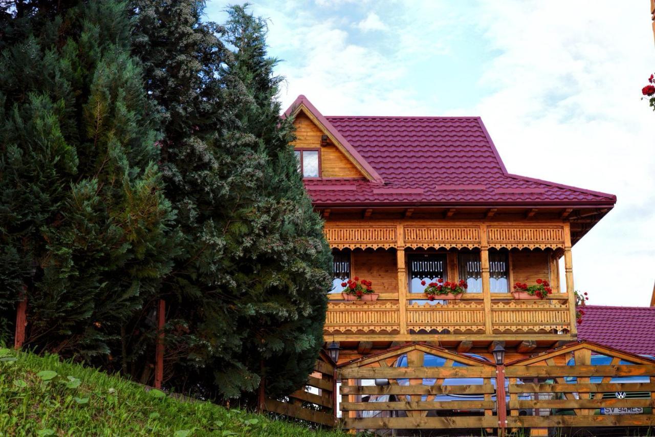 Pensiunea Agroturistica Poiana Пояна Негри Экстерьер фото