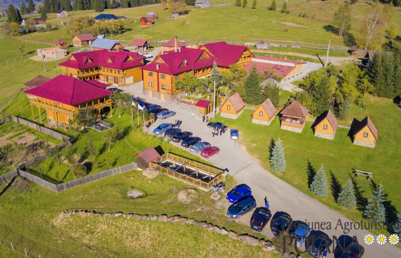 Pensiunea Agroturistica Poiana Пояна Негри Экстерьер фото