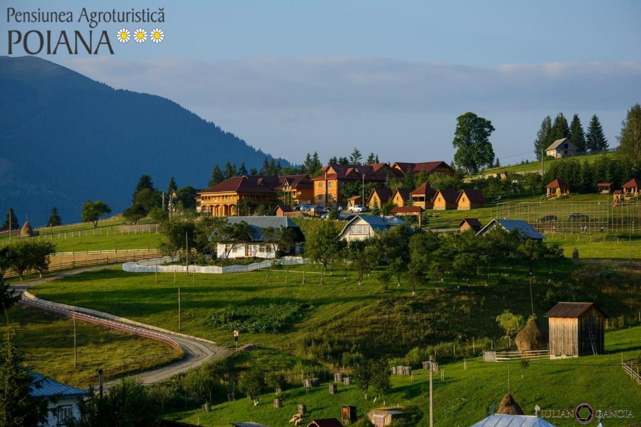 Pensiunea Agroturistica Poiana Пояна Негри Экстерьер фото